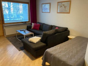 RovaniemiApartment 2 bedroom, livingroom, sauna, Rovaniemi